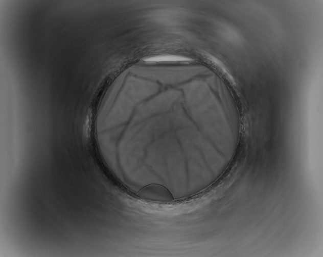 X0000093370018200711081534