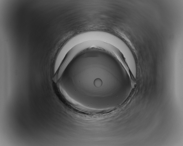 X0000093370019200711081534