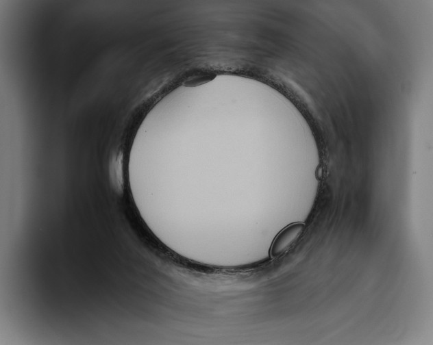 X0000093370020200711081534