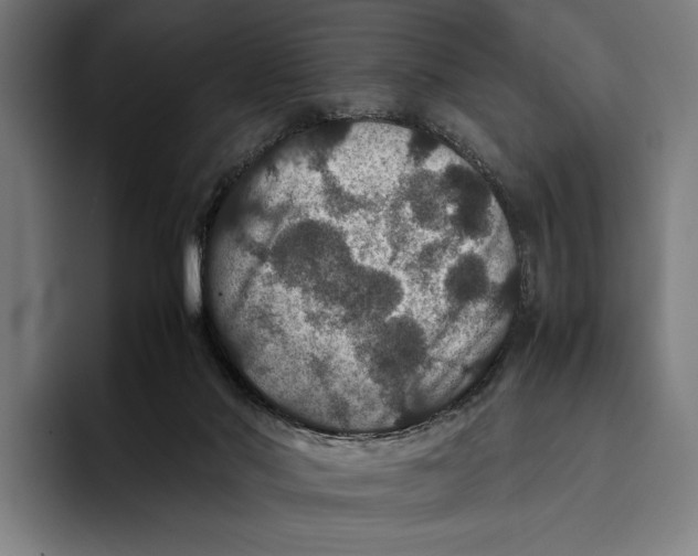 X0000093370022200711081534