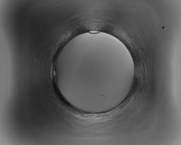X0000093370023200711081534