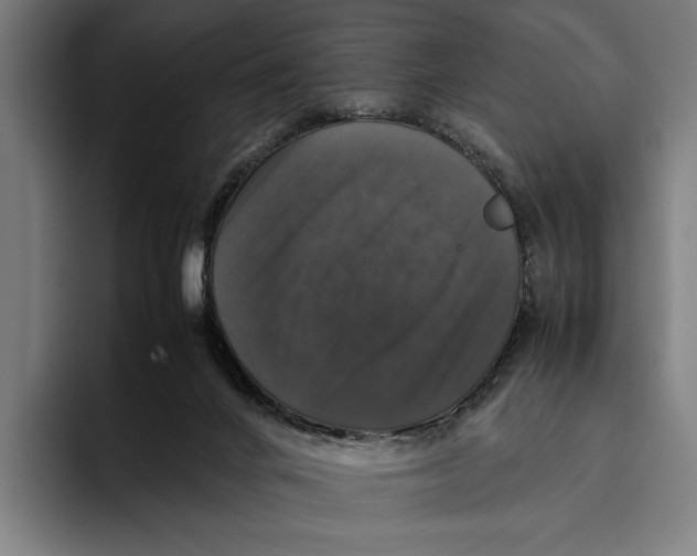X0000093370024200711081534