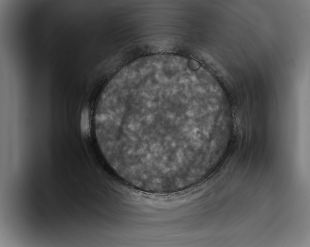 X0000093370026200711081534