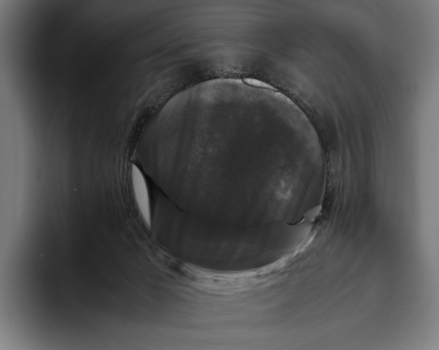 X0000093370029200711081534