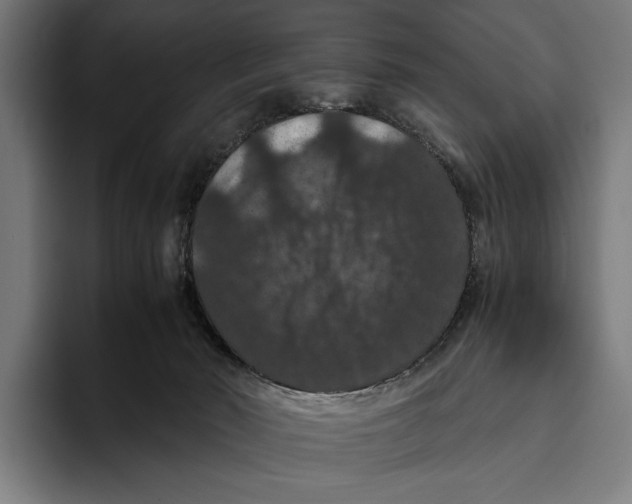 X0000093370030200711081534