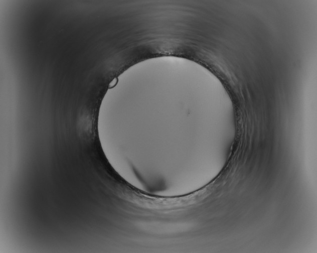 X0000093370031200711081534