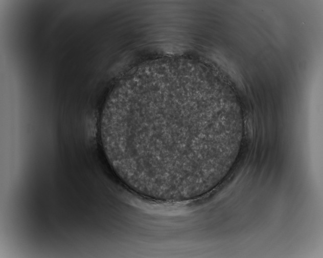 X0000093370032200711081534