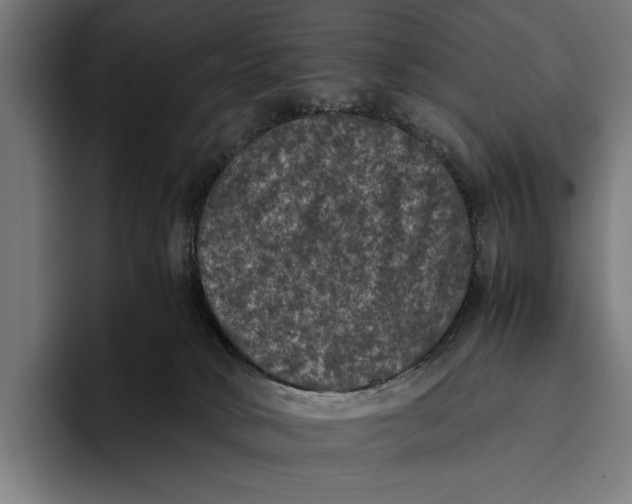 X0000093370034200711081534