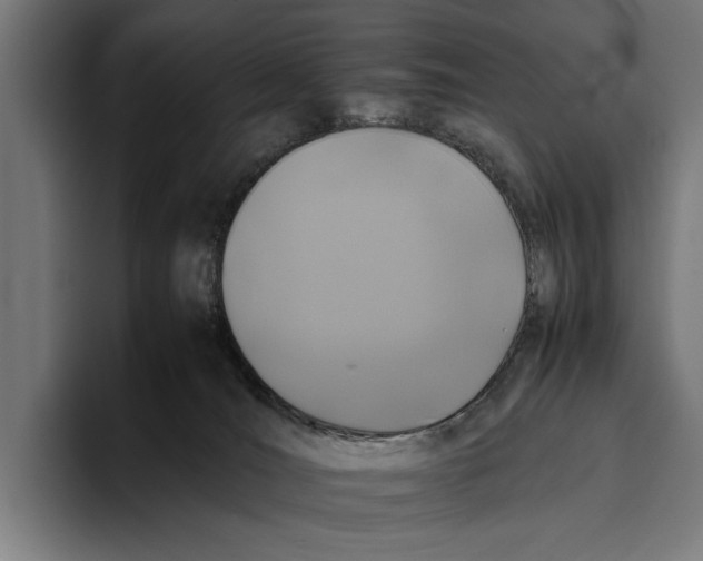 X0000093370036200711081534