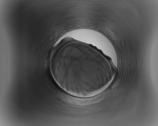 X0000093370039200711081533