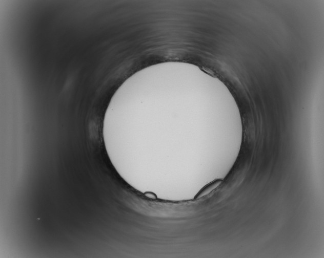 X0000093370044200711081533