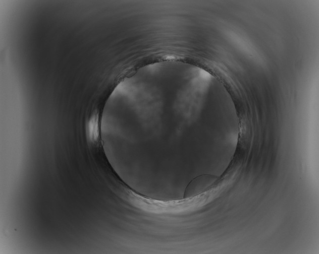 X0000093370046200711081533