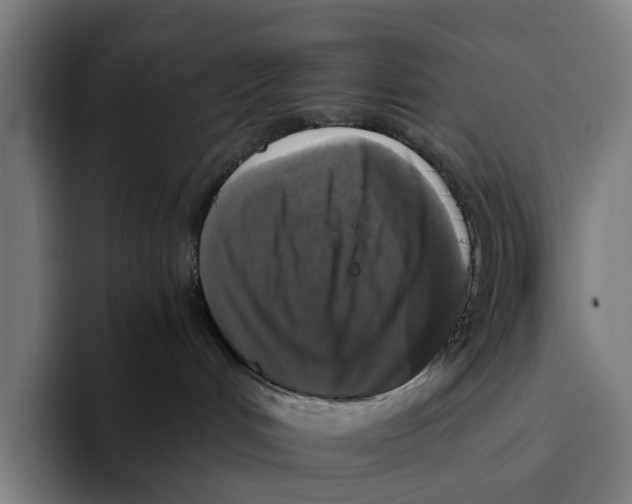 X0000093370048200711081533