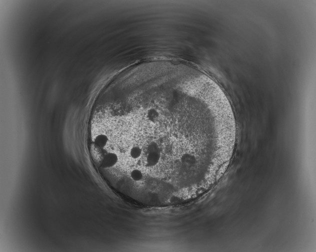 X0000093370049200711081533