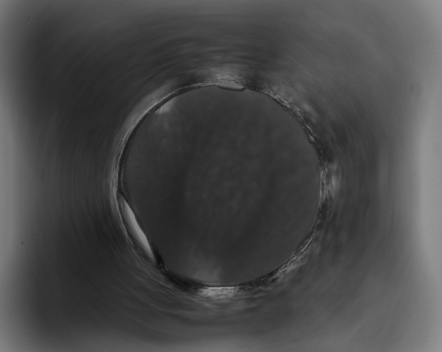 X0000093370051200711081533