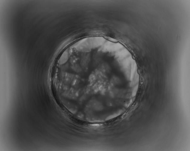 X0000093370053200711081533