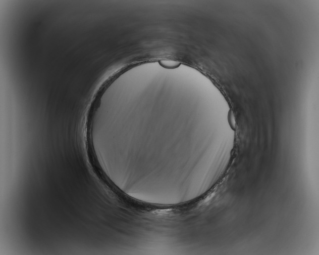 X0000093370054200711081533