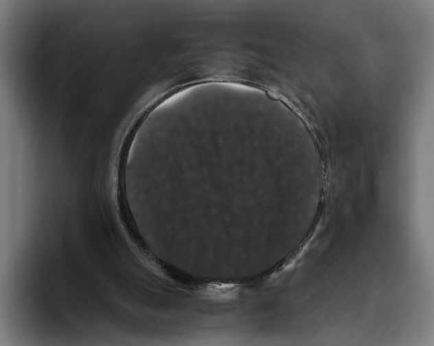 X0000093370055200711081533