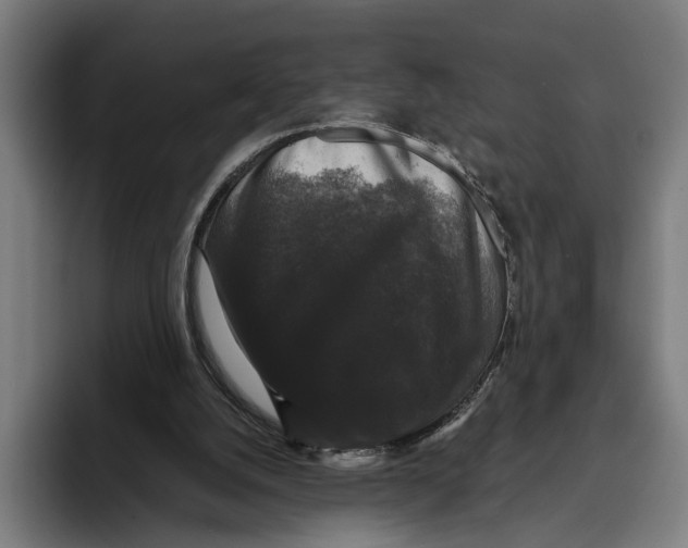 X0000093370056200711081533
