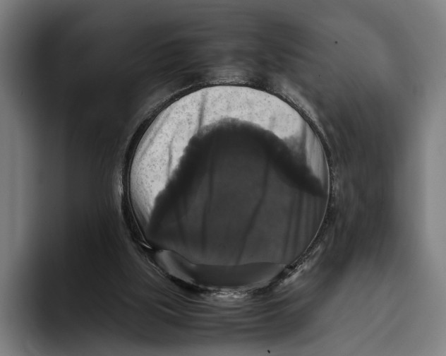 X0000093370059200711081533