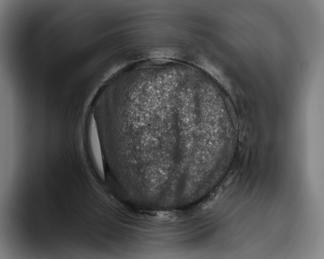 X0000093370060200711081533