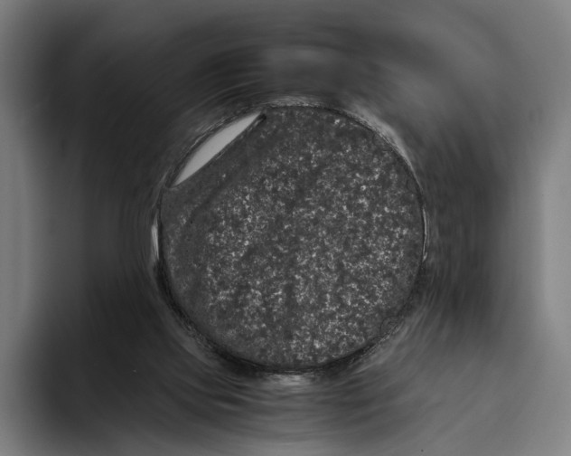 X0000093370061200711081533