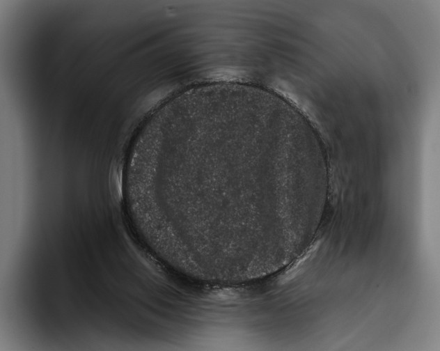 X0000093370062200711081533