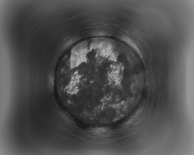 X0000093370063200711081533