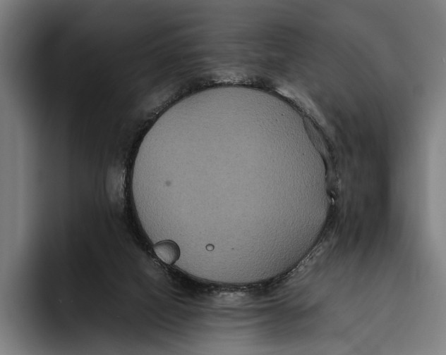 X0000093370066200711081533