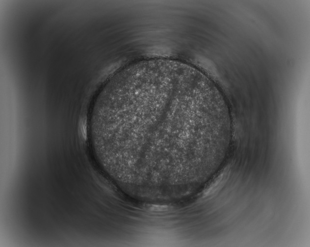 X0000093370068200711081533
