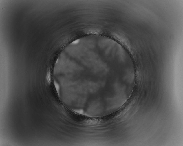 X0000093370069200711081533