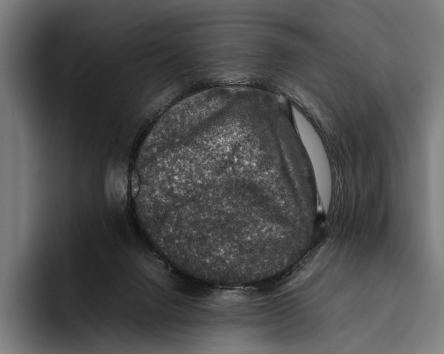 X0000093370072200711081533
