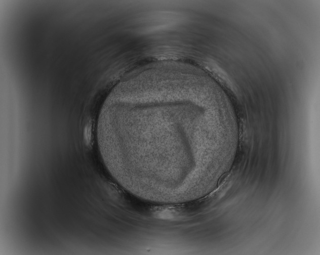 X0000093370074200711081533