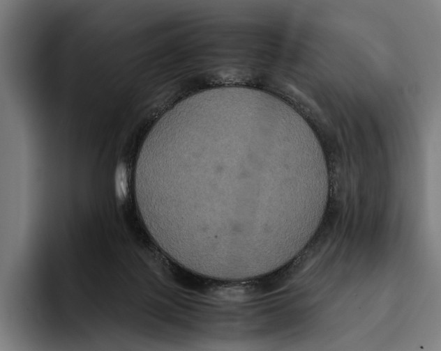 X0000093370075200711081533