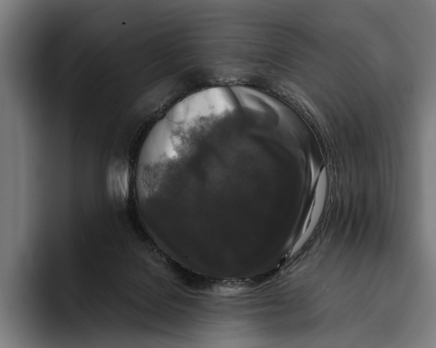 X0000093370076200711081533