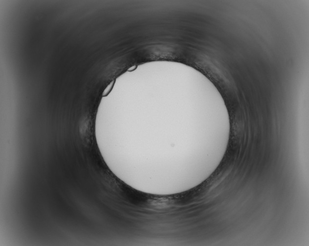 X0000093370079200711081533