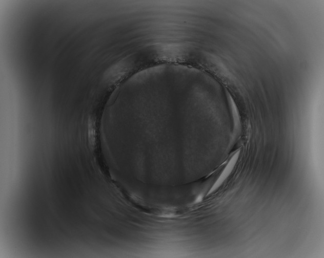 X0000093370080200711081533