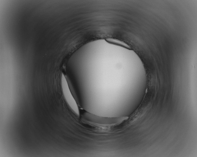 X0000093370084200711081533