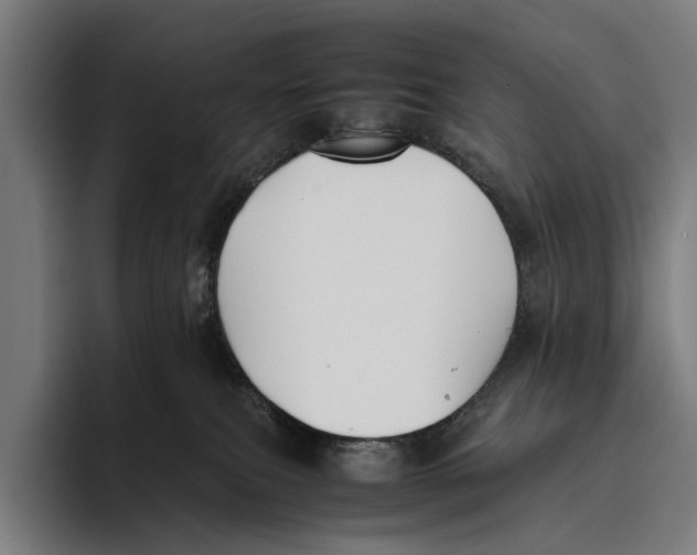 X0000093370087200711081533