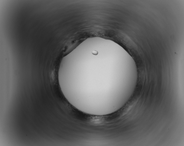 X0000093370088200711081533