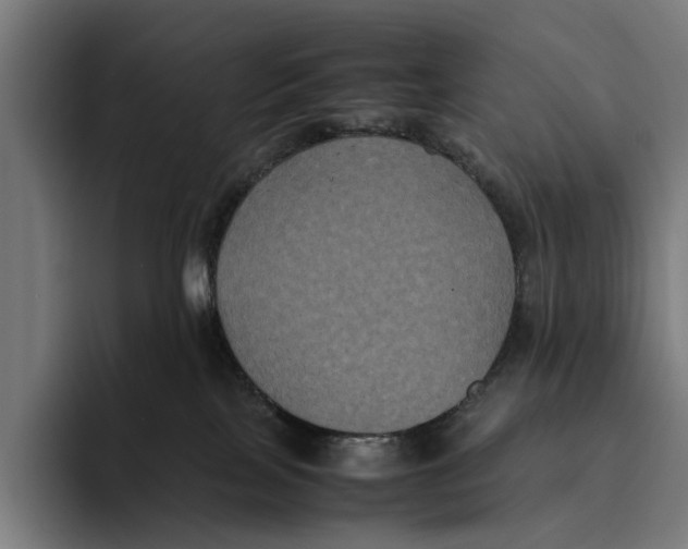X0000093370089200711081533