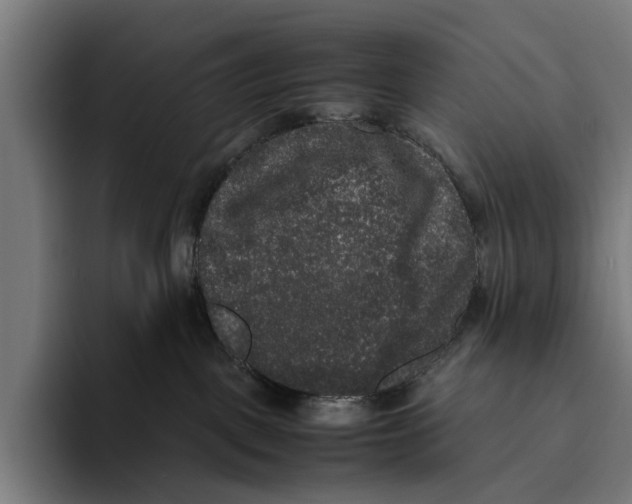 X0000093370093200711081533