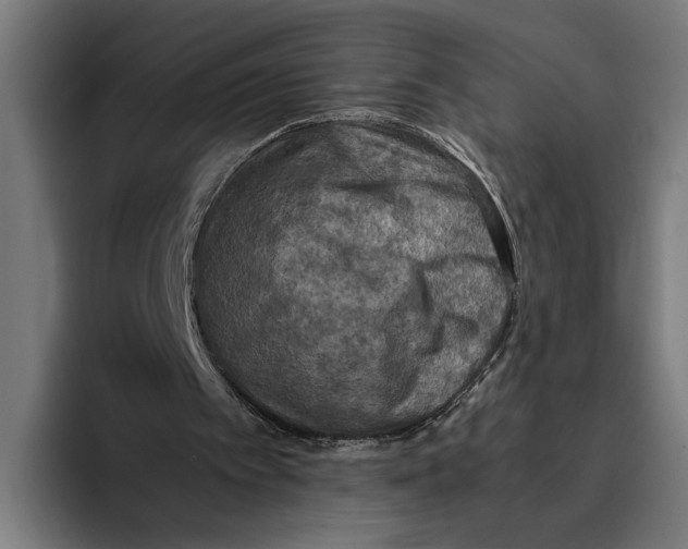 X0000093370097200711081533