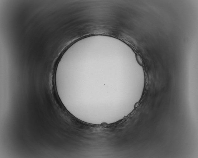 X0000093370098200711081533