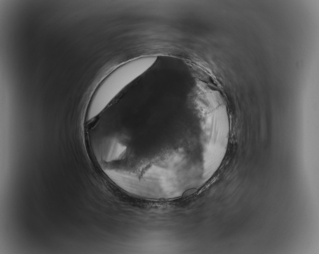 X0000093370099200711081533