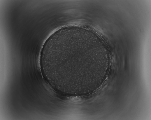 X0000093370100200711081533