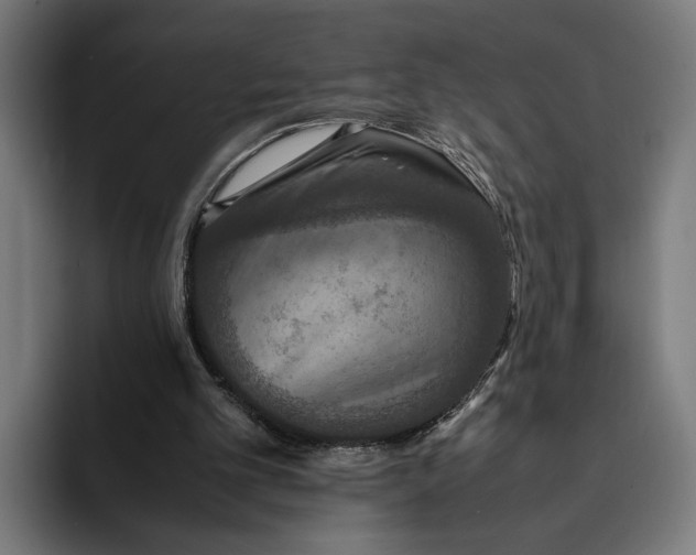 X0000093370101200711081533