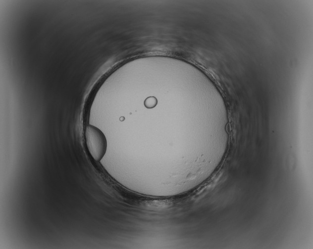X0000093370102200711081533