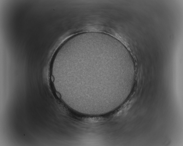 X0000093370103200711081533