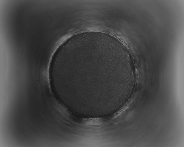 X0000093370104200711081533